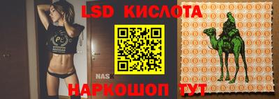 гидропоника Краснодар