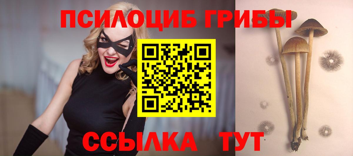 Галлюциногенные грибы ЛСД  Вход с VPN  Уссурийск 